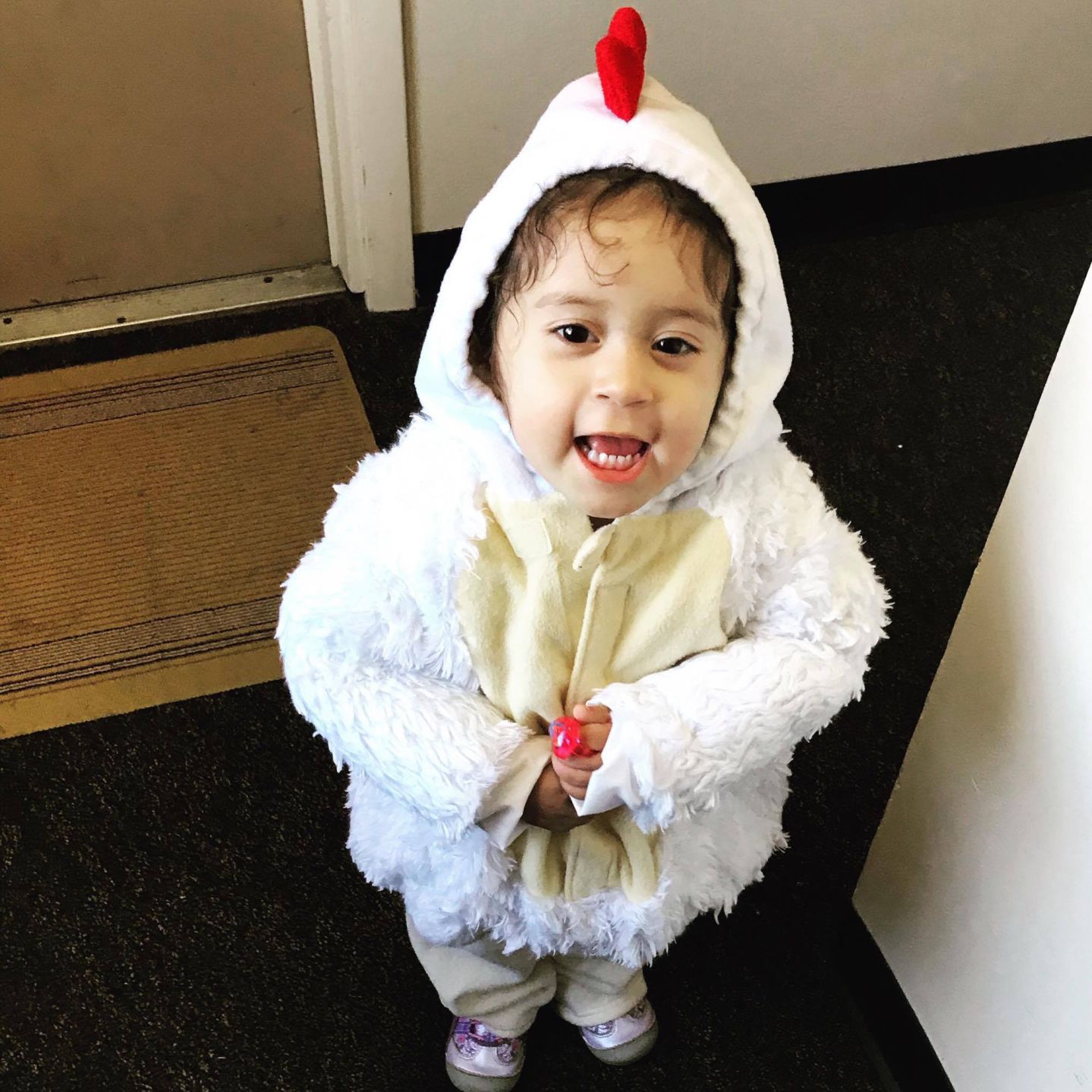 Little hen, submitted by Sonia Santacruz Arteaga